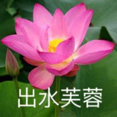 广东特大暴雨将来袭